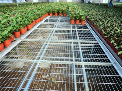 苗床網(wǎng)片